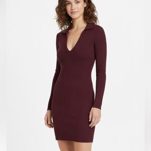 ARITZIA BABATON Contour Polo Longsleeve DressRich Maroon Size 2XS